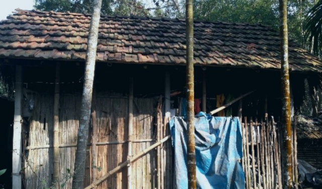 Macro Demographic Profile of Dadpur